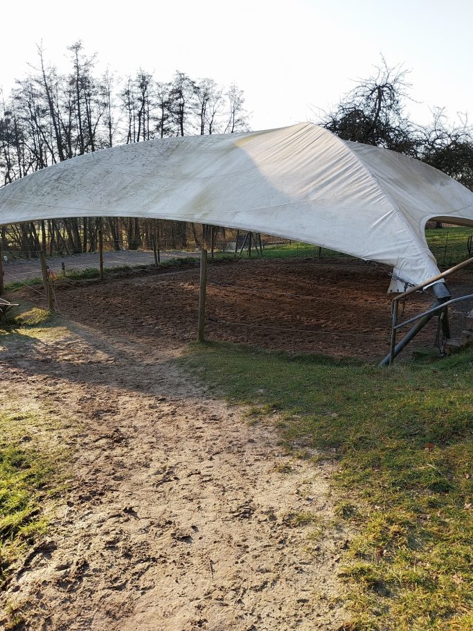 Ein überdachter Bereich auf einem Feld, umgeben von Bäumen und Erde.